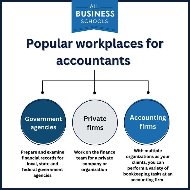 A visual chart of the most popular workplaces for accountants